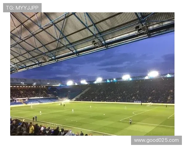 泰晤士:谢周三拟拍卖希尔斯堡球场金象标志筹资计划